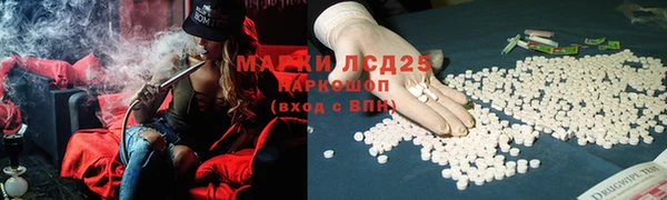 гидропоника Семёнов